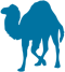 perl
